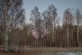Aftonrådnad