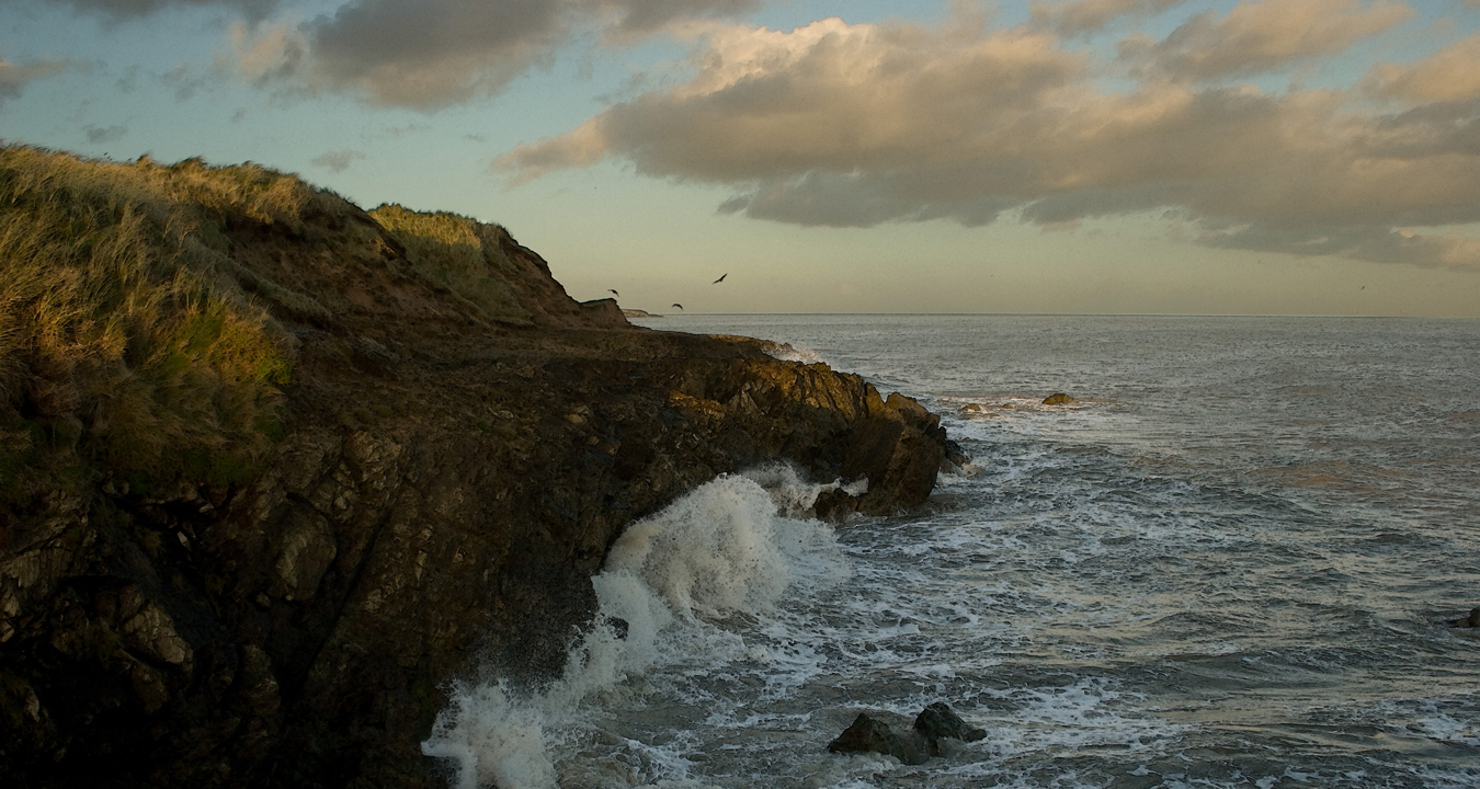 Arklow shore