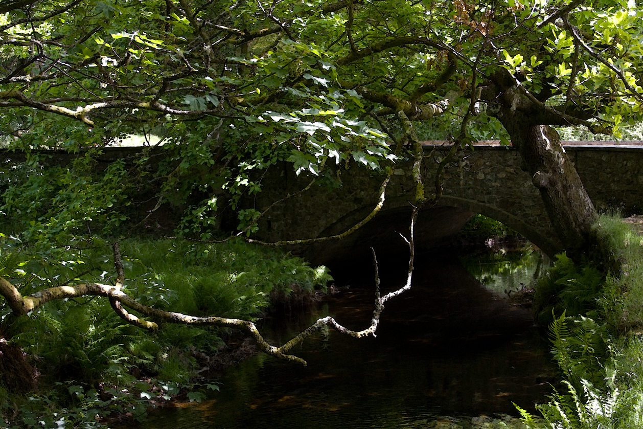 Gateway to Glendalough