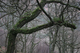 Glendalough mountains