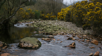 River creek