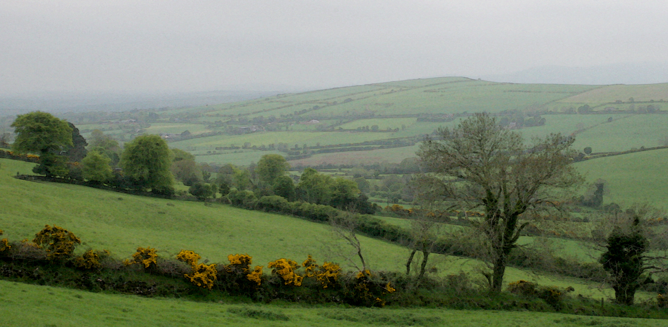 Fields in Avoca