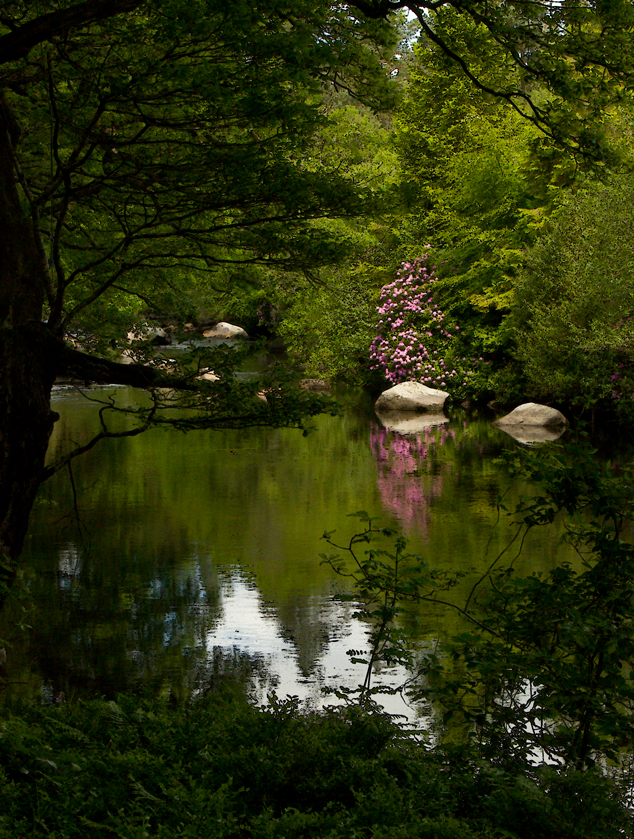 Woodenbridge