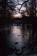 Ankor i Bergslagen