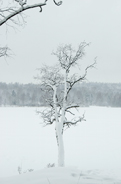 Snöfall över Noren