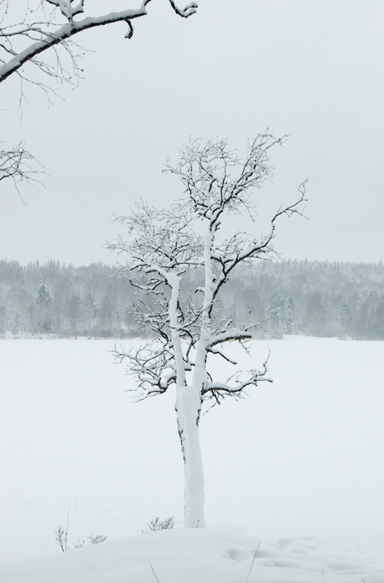 Snöfall över Noren