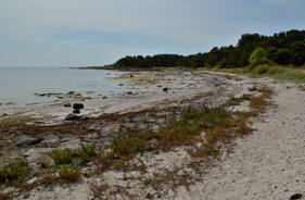 Strand i Österlen