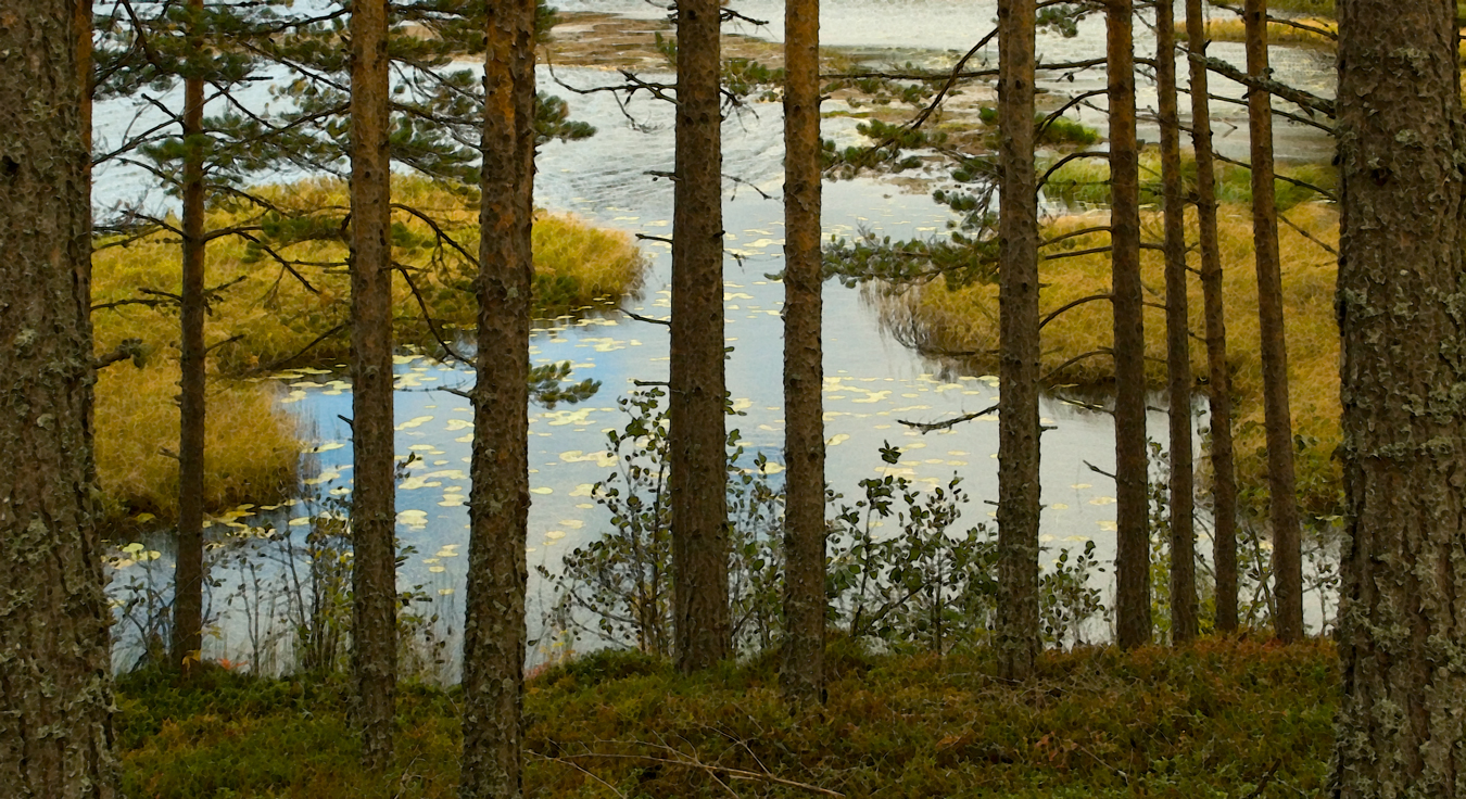 Enån Rättvik Dalarna