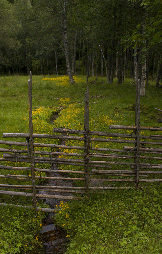 Fenningberget Dalarna