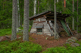 Skogsfastighet