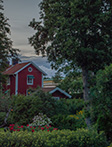 Faromor på Kvarnis