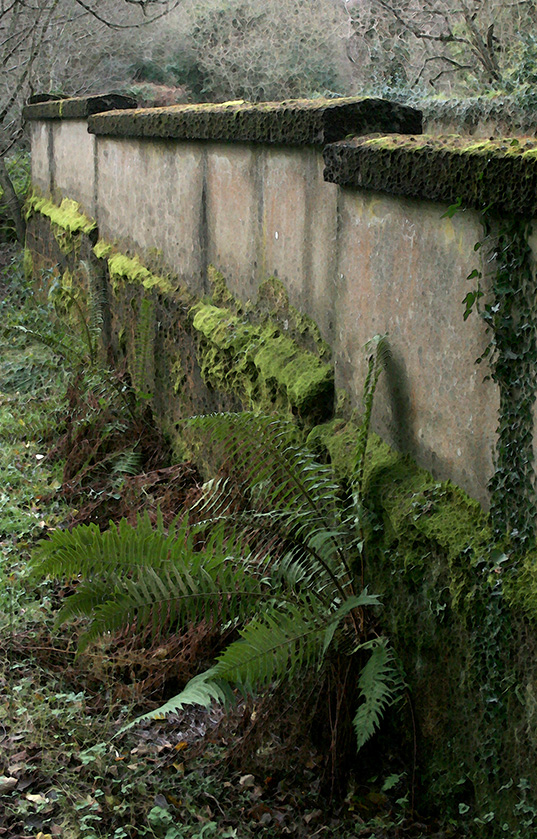 Concrete and emerald