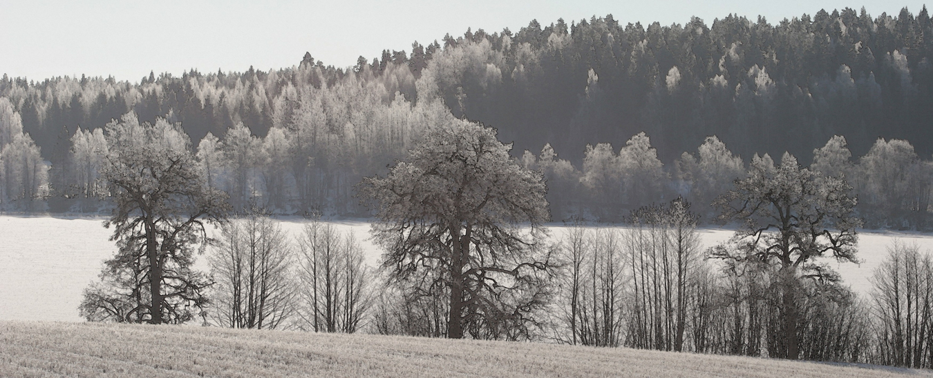 Långsjö Norberg