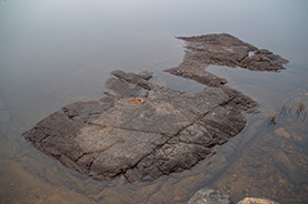 Sårbart