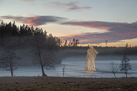 Illithid