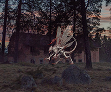 Trollslända extraordinär