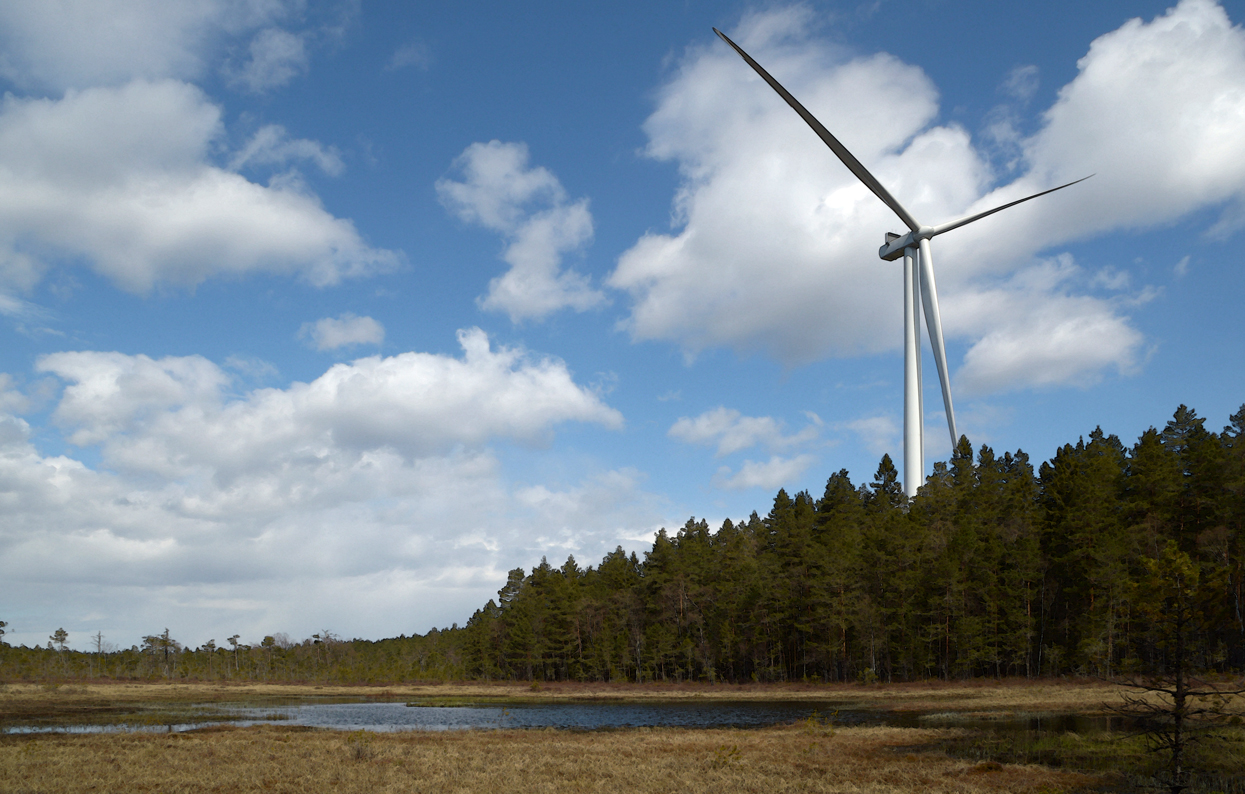 Vildmark med inslag