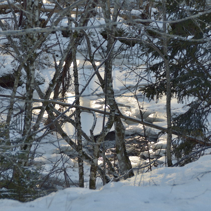 Landforsen-al