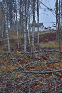 Skitkul