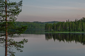 Kvällsvy