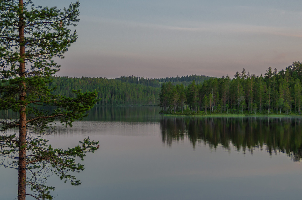 Kvällsvy