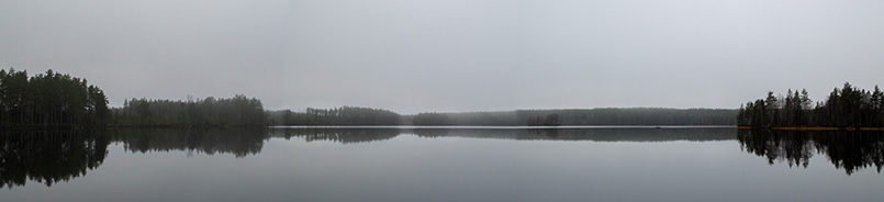 Malskon EKG
