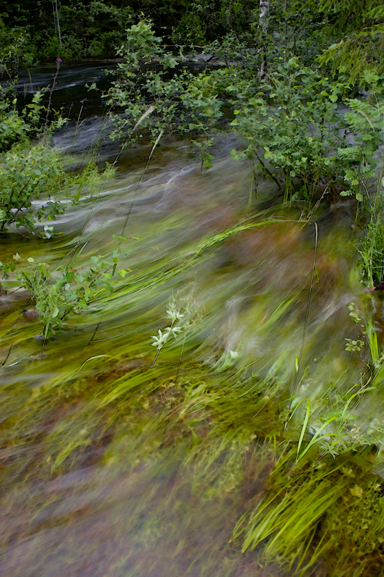 Vårflod i Korsån, Bergslagen