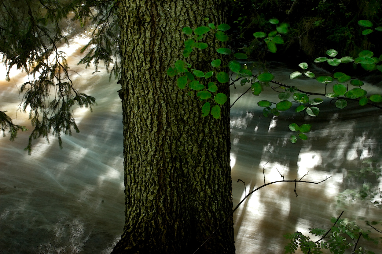 Vårflod i Livsdal