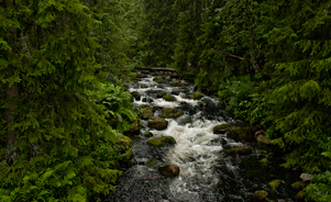 Njupeskär