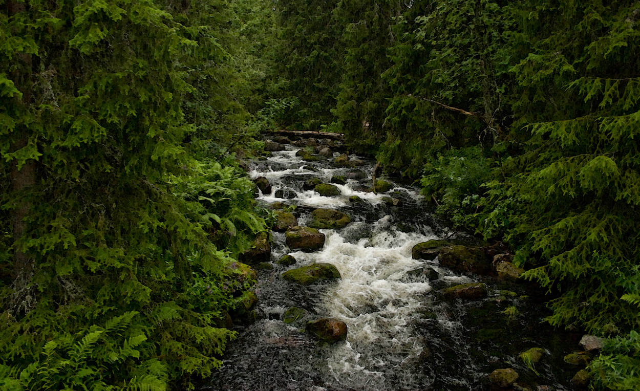 Njupån, Mörkret, Dalarna