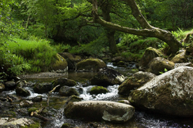 Glendalough